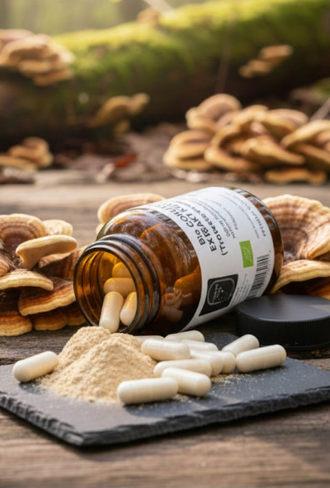 Bio Coriolus Extrakt Kapseln (Trametes versicolor) Hindi kuyruğu mantarı