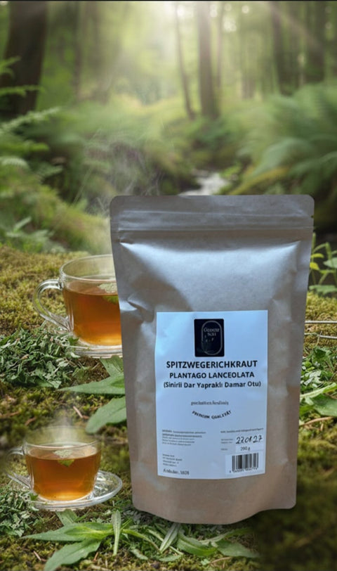 Spitzwegerichkraut (geschnitten)  Damar Otu Sinirli dar Yaprakli Kesilmis